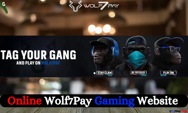 News 6 online gaming website wolf7pay